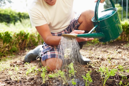 Front view of a landscaped garden with maintenance crew arriving