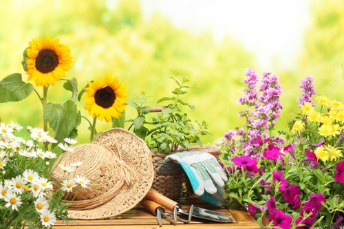 A vibrant garden scene featuring a variety of colourful flowering plants on a wooden outdoor table, including tall yellow sunflowers with dark centres, pink and purple flowers clustered in dense groups, and white daisies with yellow centres. The garden backdrop is blurred with lush green foliage, suggesting a sunny day with natural daylight illuminating the scene. The table also holds gardening tools such as a straw hat, gardening gloves, pruning shears, and a small potted plant, indicating recent or ongoing gardening activity. Surrounding the table are additional garden elements, with a well-kept lawn in the background and a neat arrangement of flowering beds and shrubs, reflecting a maintained outdoor space typical of residential gardens in the Hendon area or nearby locations, suitable for professional gardening or lawn care services provided by Garden Maintenance Hendon.